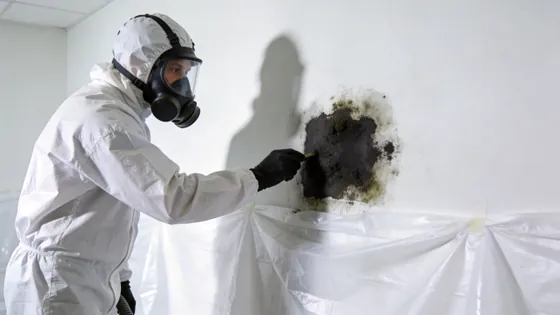Technician in a full hazmat suit removing mold from a wall