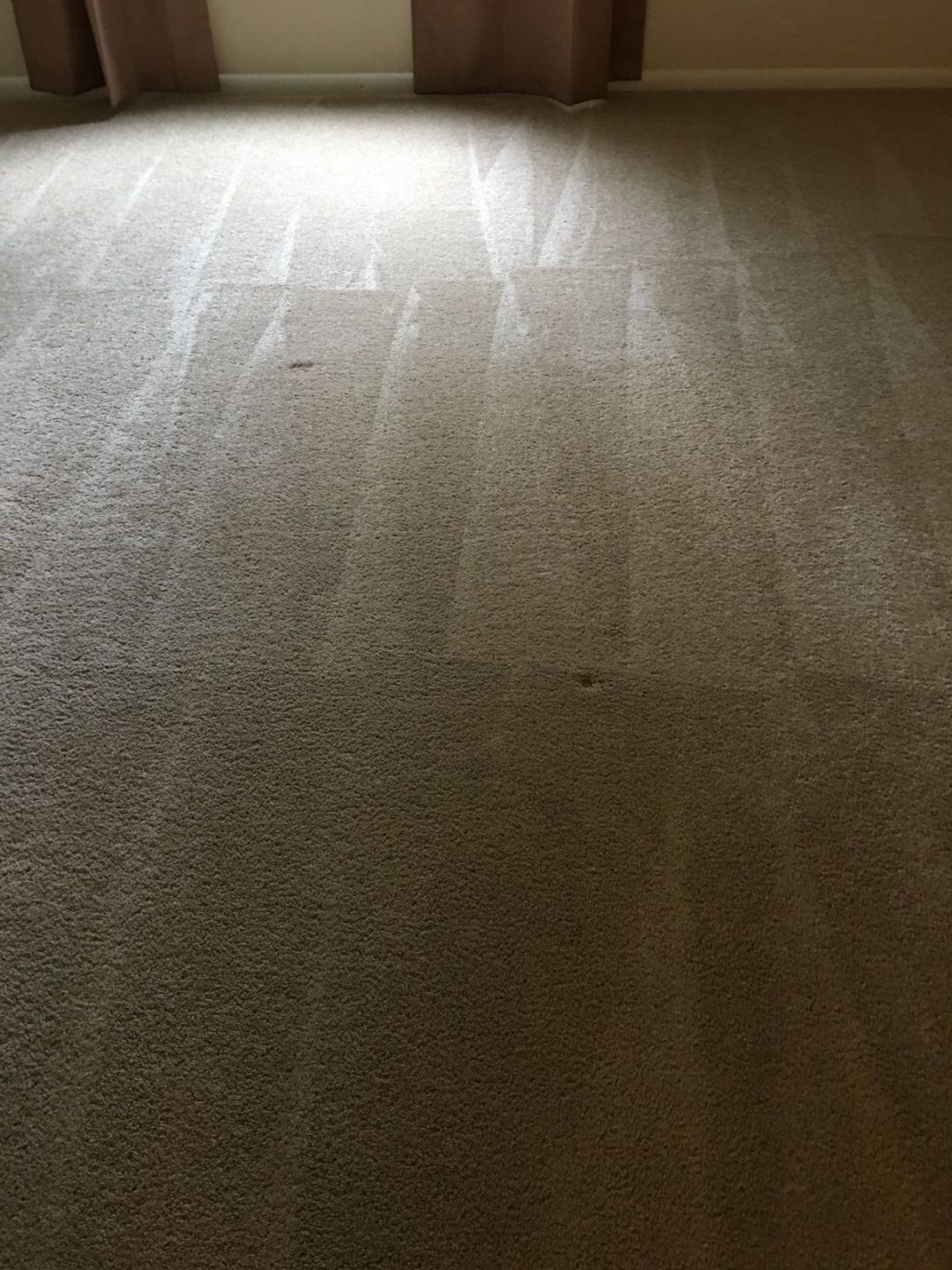 Carpet Cleaning Palm Beach - Carpet Cleaning Miami