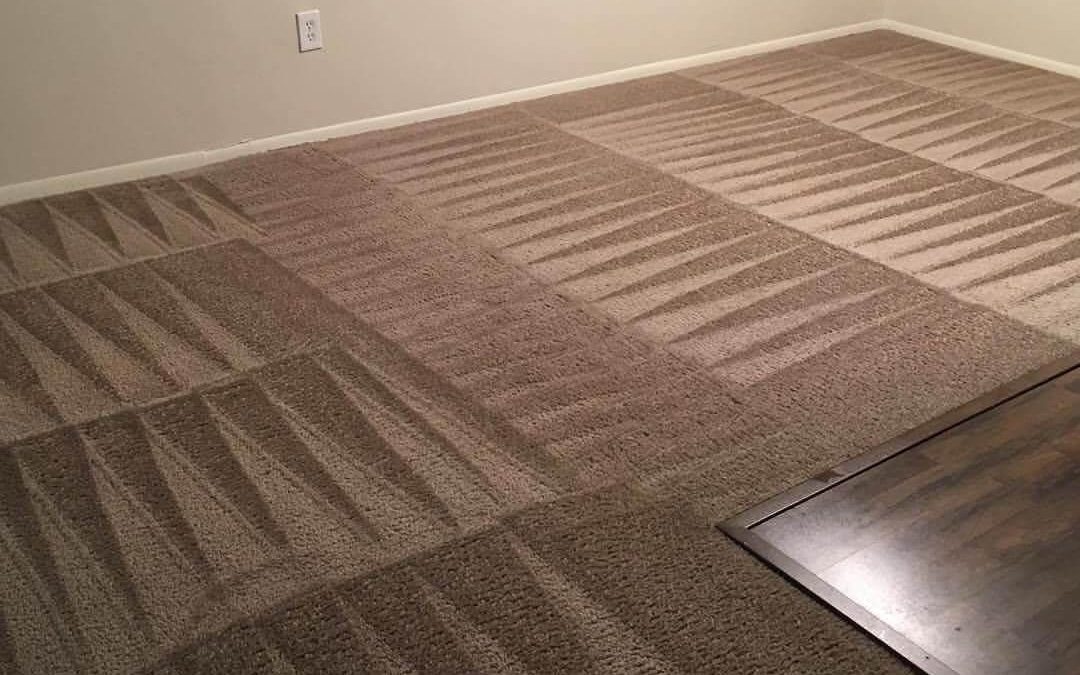 Best Eco-Friendly Carpet Steam Cleaning Near Me in Miami – Trusted Cleaning Solutions by PSR Carpet Cleaning Miami