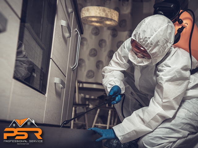 Mold Remediation – The Key to Long Term Solutions