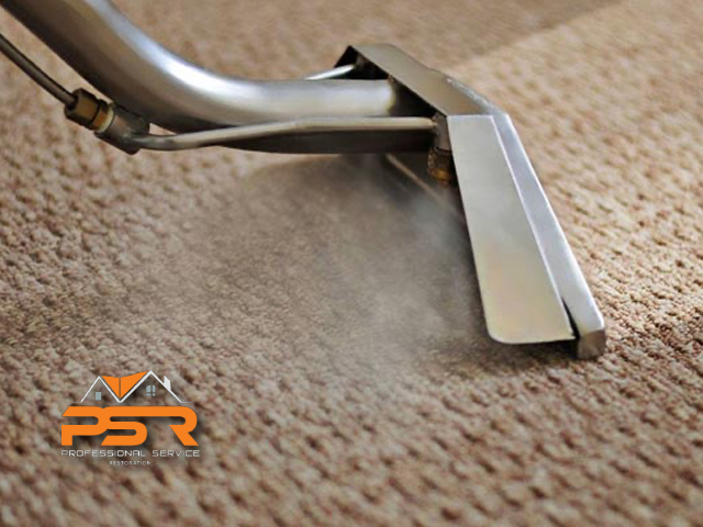 Carpet Restoration