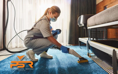 Deep Carpet Sanitation | Solutions for a Healthier Home