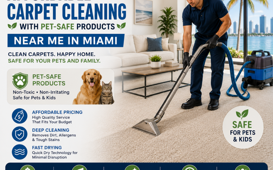 Affordable Carpet Cleaning with Pet-Safe Products Near Me in Miami | PSR Carpet Cleaning Miami